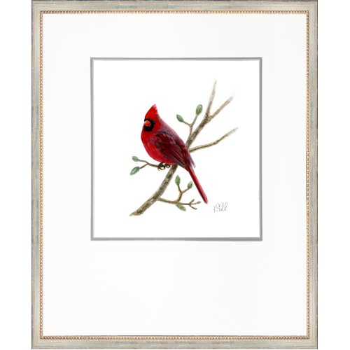 KS- CARDINAL